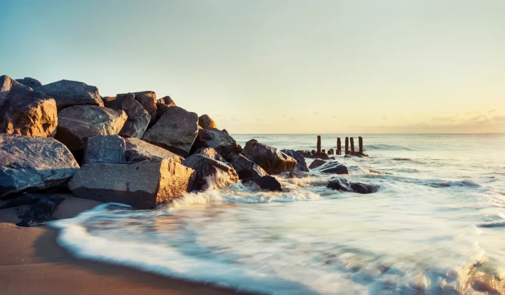 Cape Henlopen State Park in Delaware