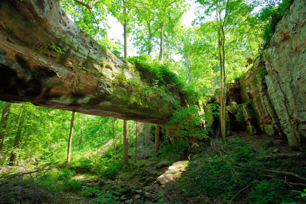 A land bridge in one of Illinois' state parks.