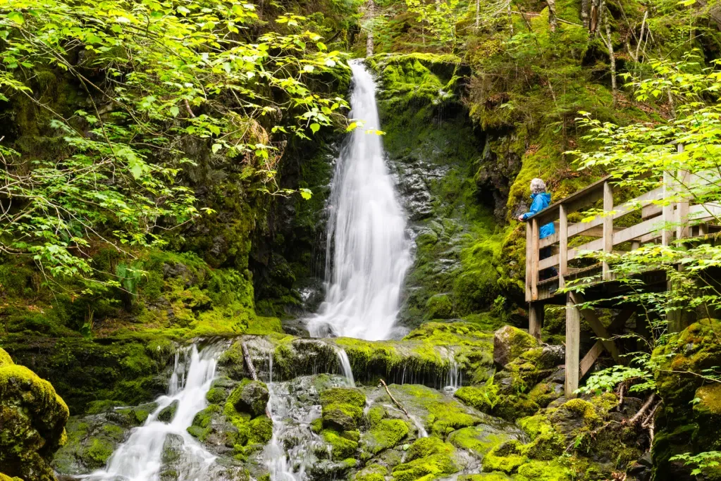 Woman looking at waterfall, Fundy National Park, New Brunswick, Canada