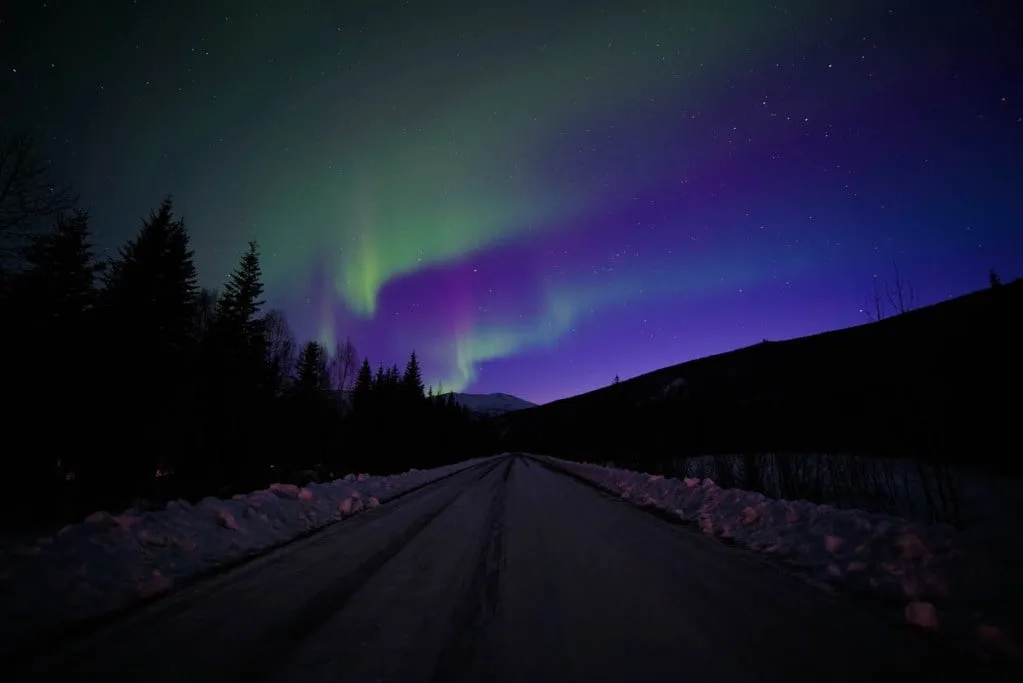 Neon-green Northern Lights against a deep purple sky. You might see this sight from a hot spring in Alaska or Canada.