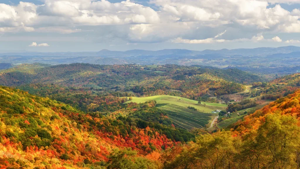 Fall colors appear in Grayson Highlands State Park in Virginia.