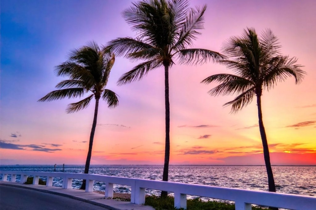 The sun sets behind three palm trees in the Sunshine State.