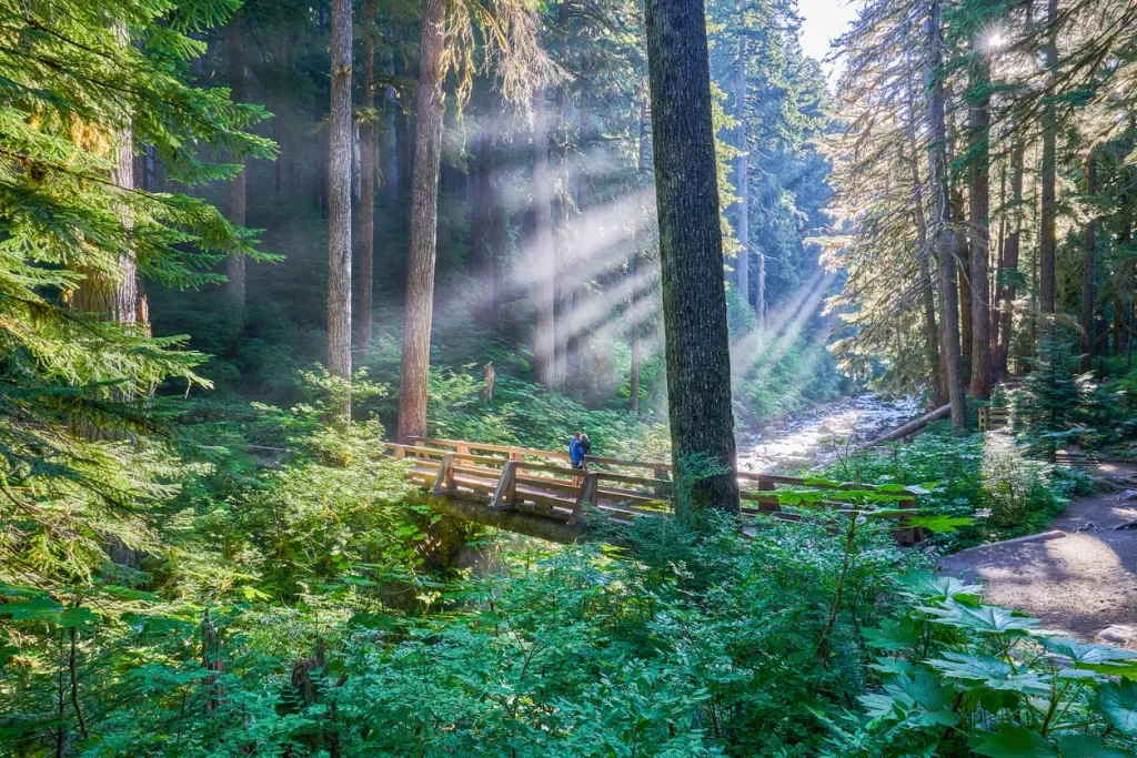 Two people walk across a wooden bridge in a forest on the Olympic Peninsula. 